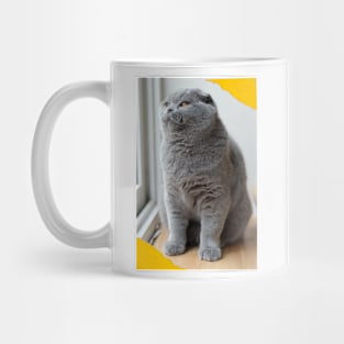 The biue cute cats Mug